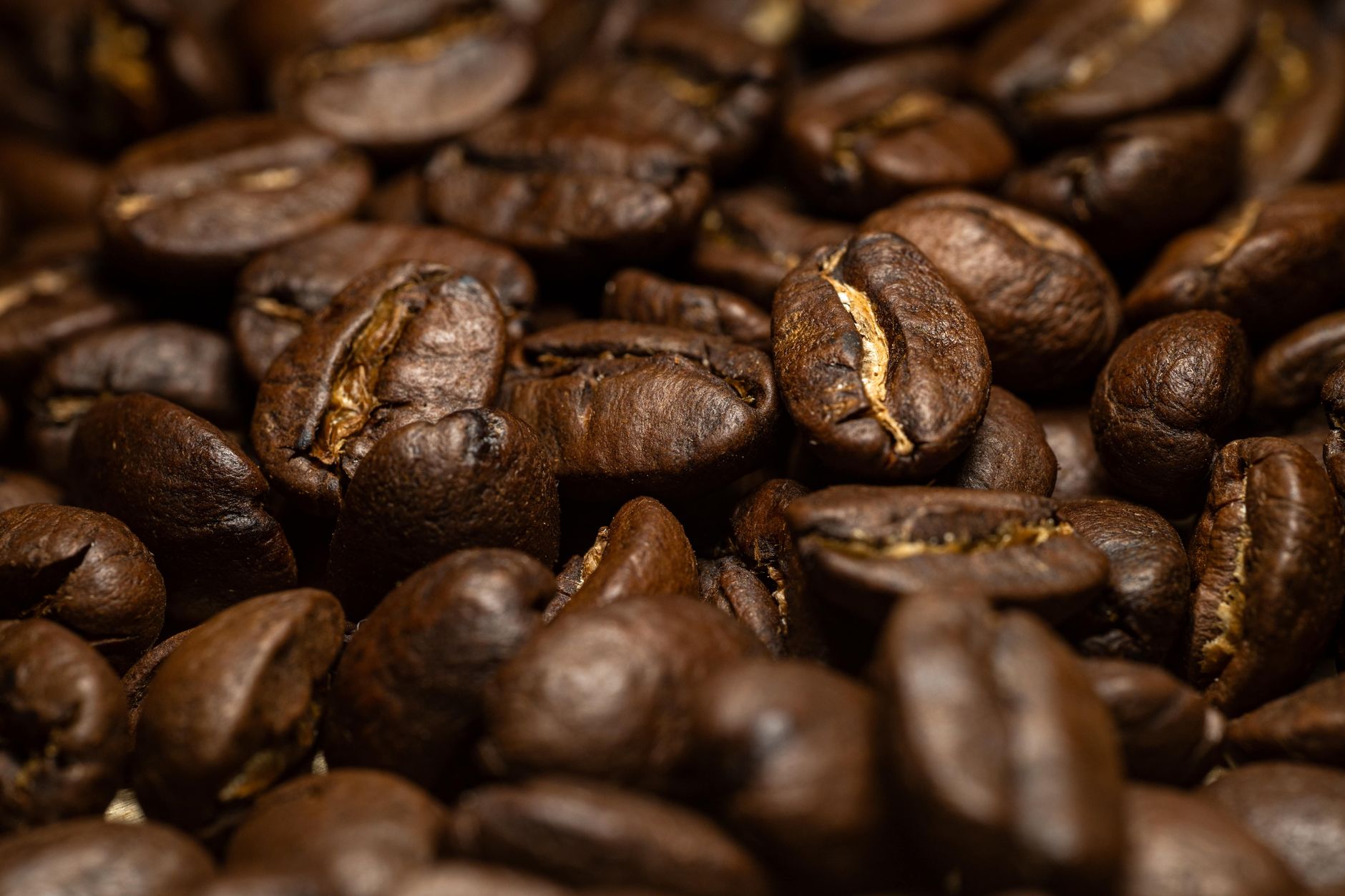 Single-origin beans, roasted in-house